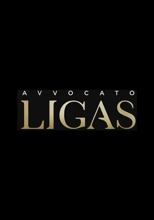 【海外剧】王牌律师利加斯